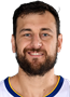 Andrew Bogut